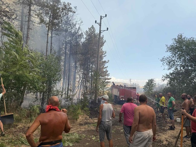 Пожарът край Българово обхвана и борова гора в непосредствена близост до града