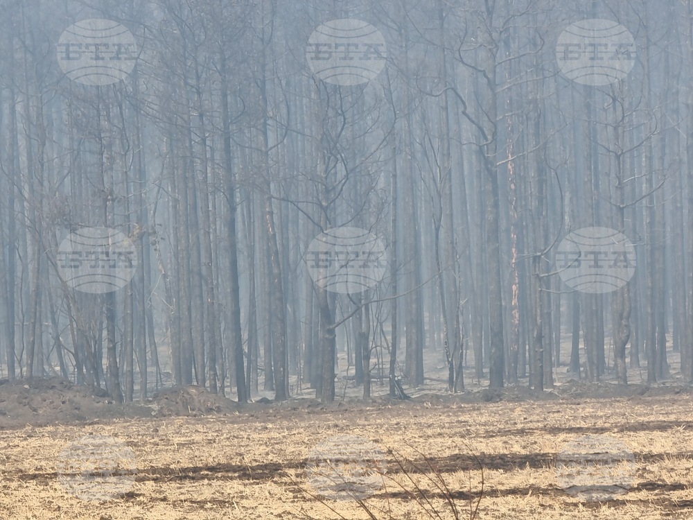 Единственият действащ пожар е този в Струмяни в Пирин, останалите са под контрол, каза главен комисар Николай Николов