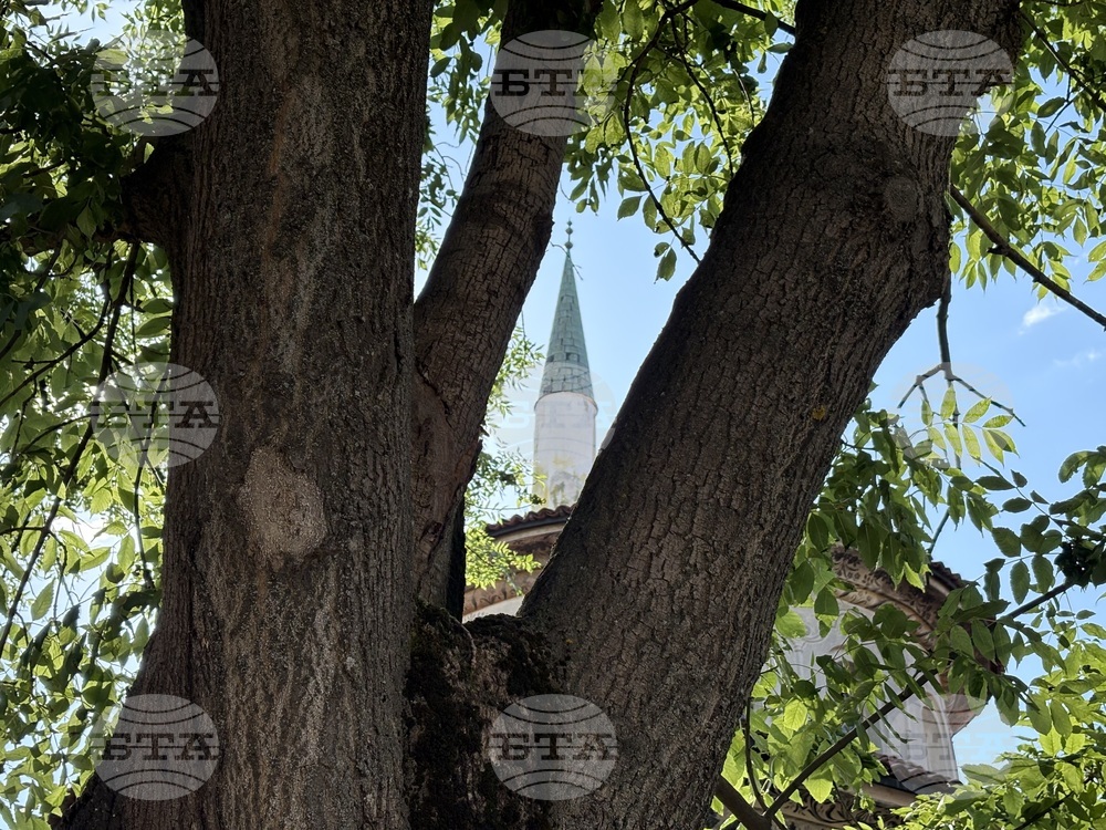 Самоков - Байракли джамия - изложба