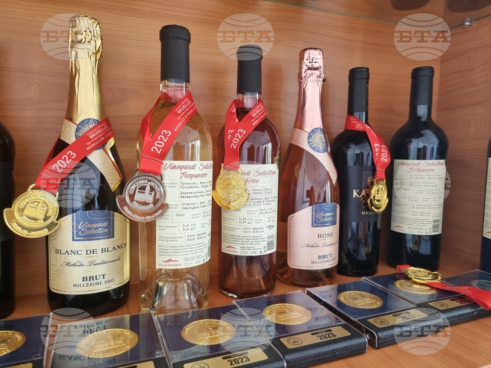 Villa Yambol: Combining Vast Vineyards and Expertise for Outstanding Results