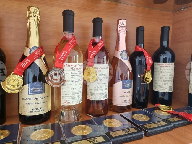 Villa Yambol: Combining Vast Vineyards and Expertise for Outstanding Results