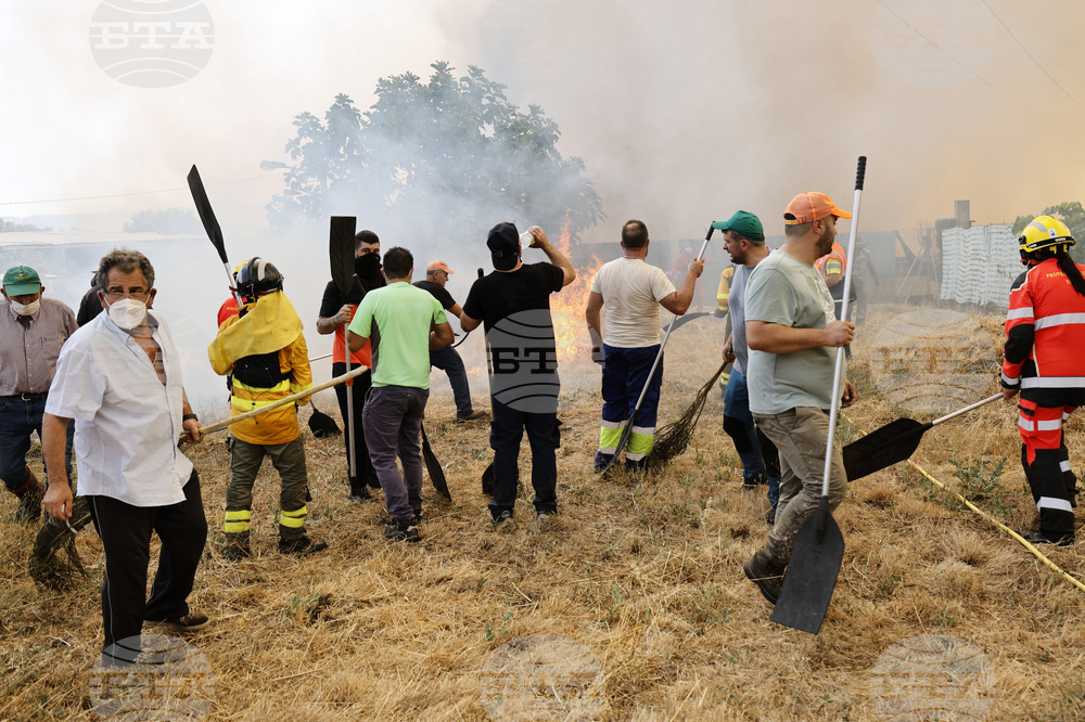 Spain Fires