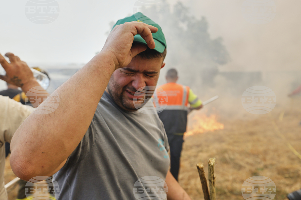 Spain Fires