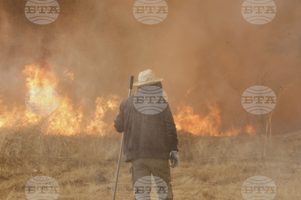 Spain Fires