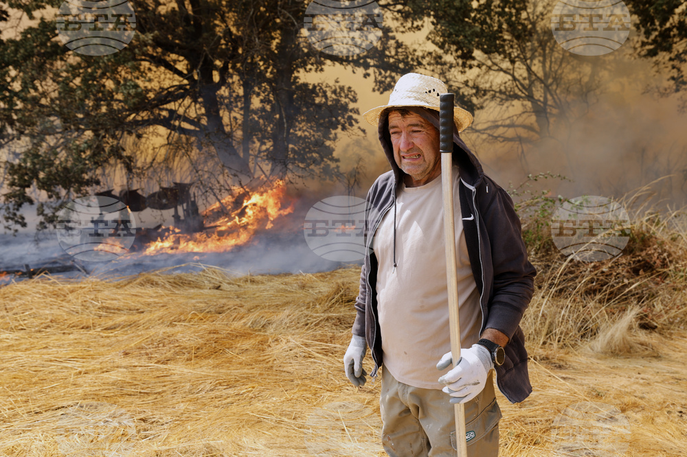 Spain Fires
