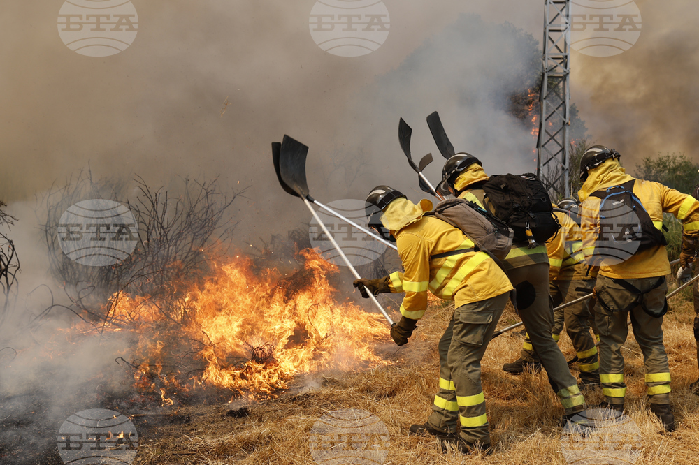 Spain Fires