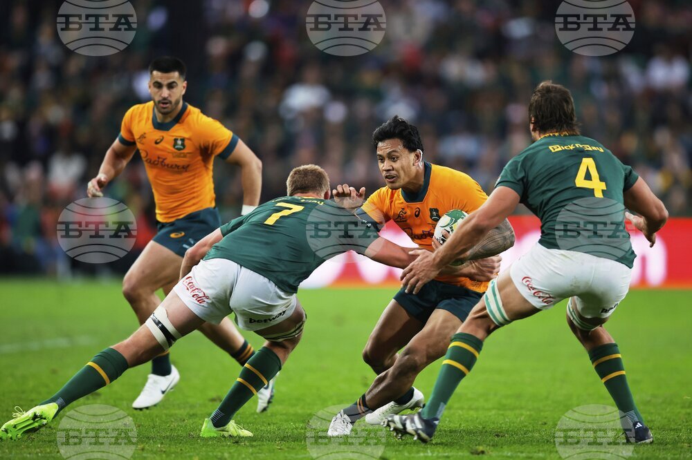 South Africa Australia Rugby