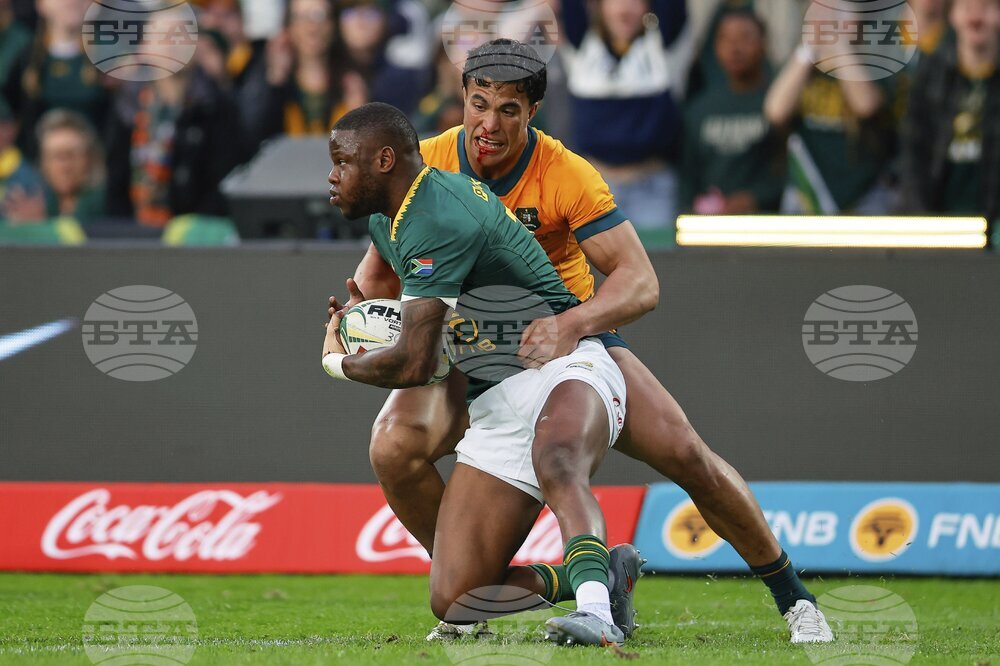 South Africa Australia Rugby