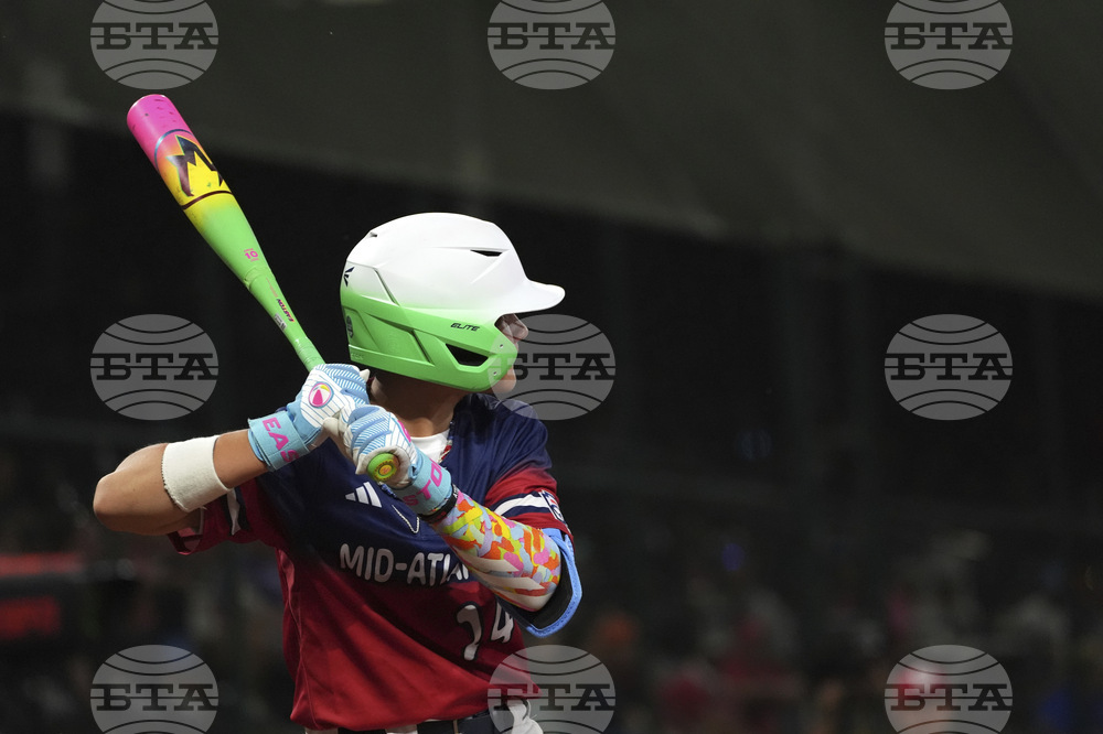 LLWS Little League-Bats Baseball