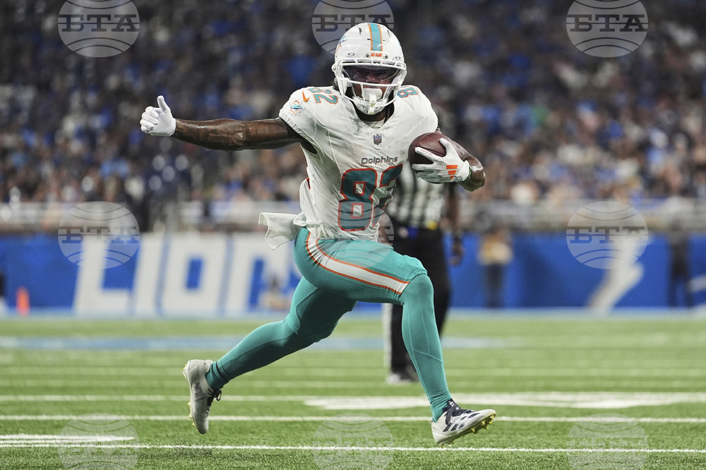 Dolphins Lions Football