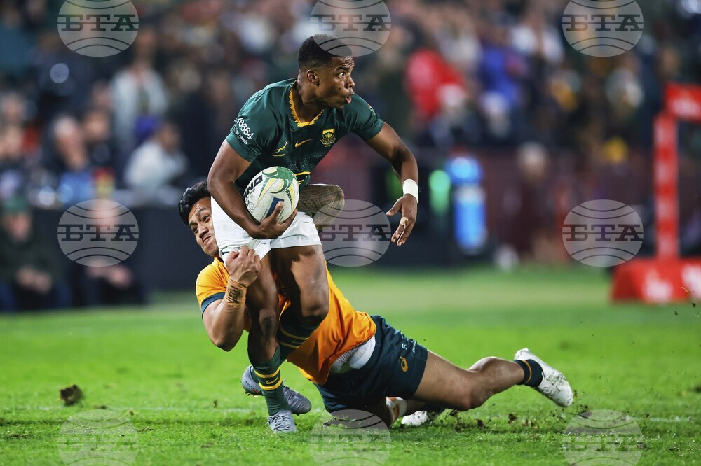 South Africa Australia Rugby