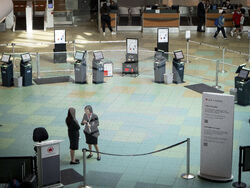 Air Canada Flight Attendants