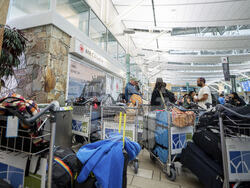 Air Canada Flight Attendants