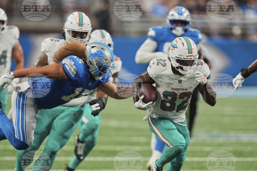Dolphins Lions Football