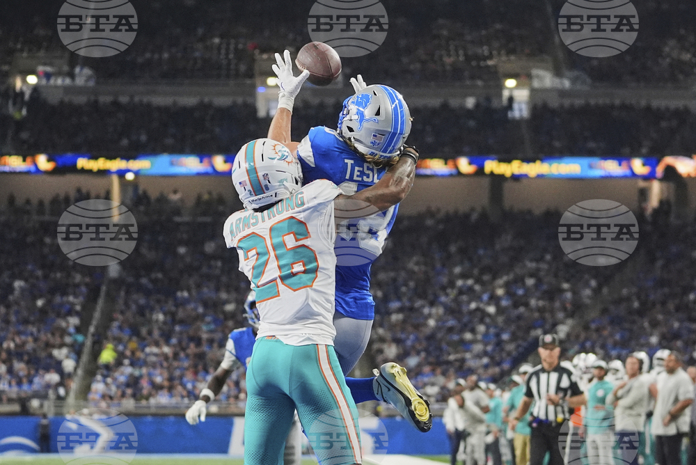 Dolphins Lions Football