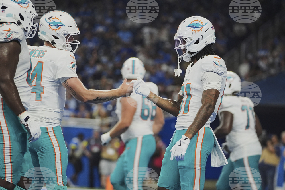 Dolphins Lions Football