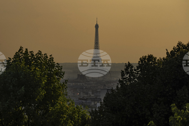 Чужденци са поставили свински глави пред няколко джамии във Франция, съобщи парижката прокуратура