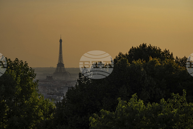 Монохромна творба на Ив Клайн беше продадена на търг в Париж за рекордните 18,4 млн. евро