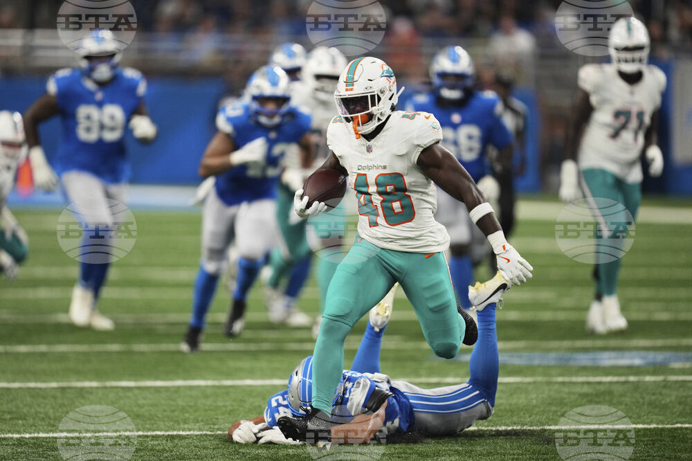Dolphins Lions Football