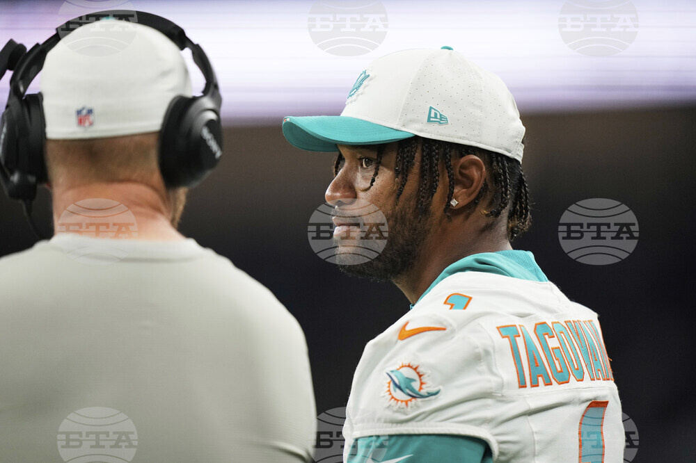 Dolphins Lions Football