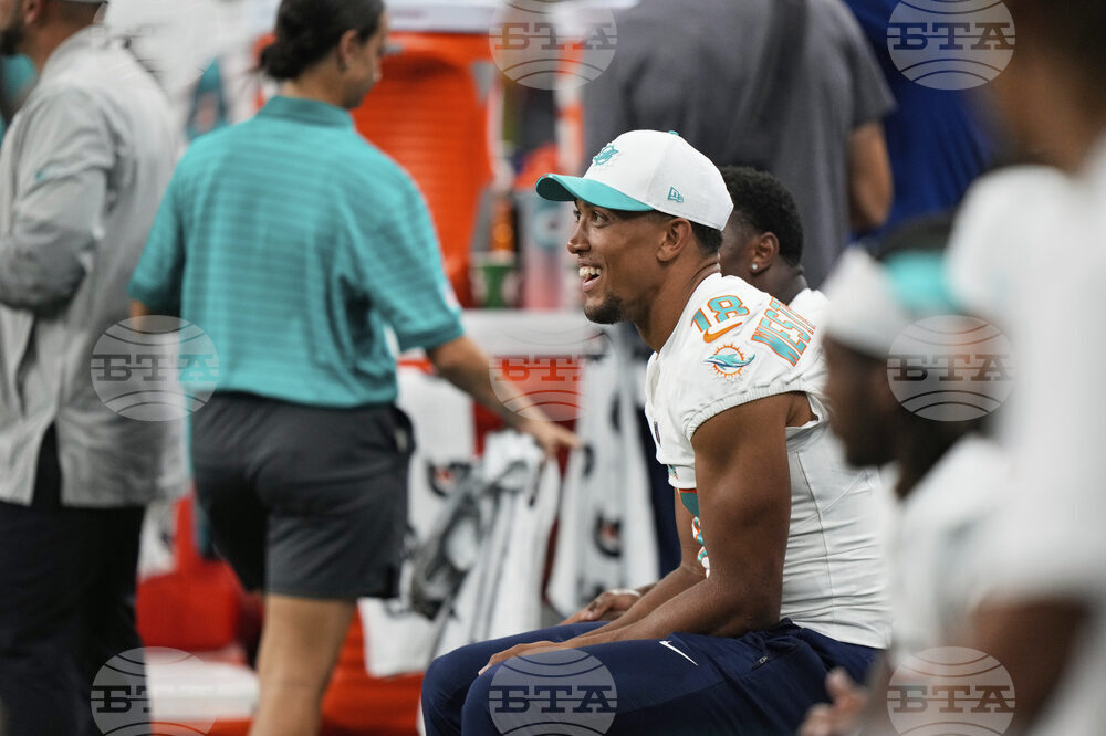 Dolphins Lions Football