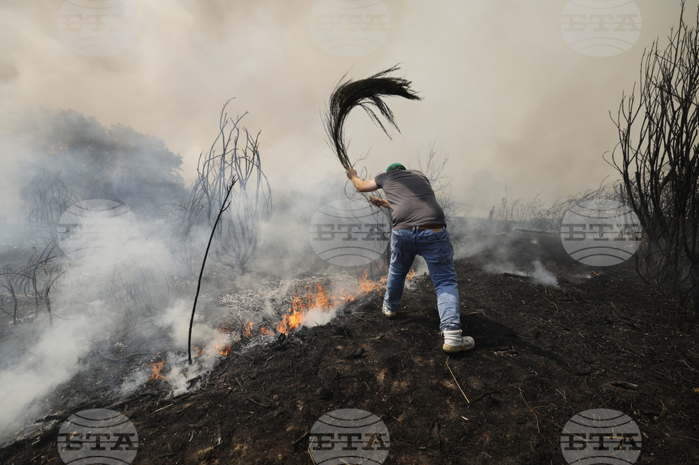 APTOPIX Spain Fires