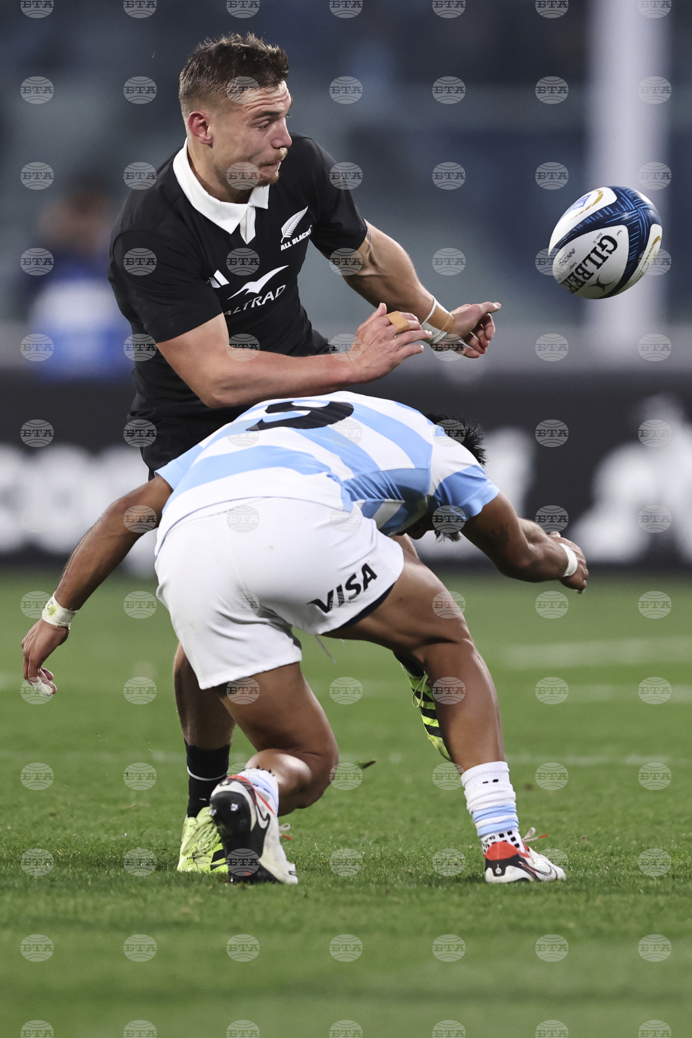 Argentina New Zealand Rugby Championship