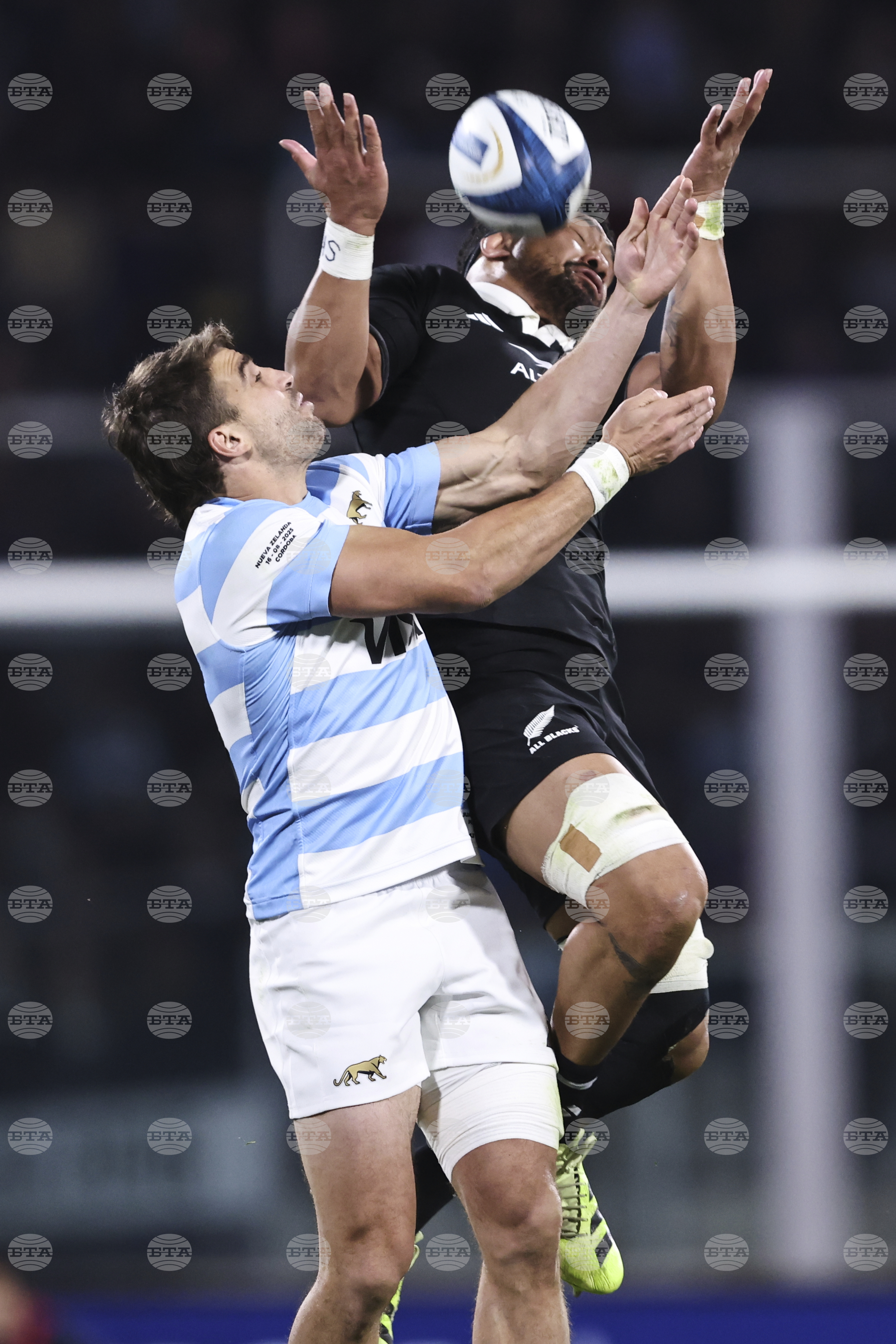 Argentina New Zealand Rugby Championship