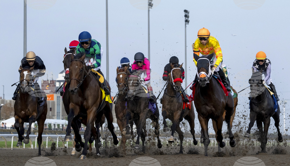 Canada Kings Plate Horse Racing