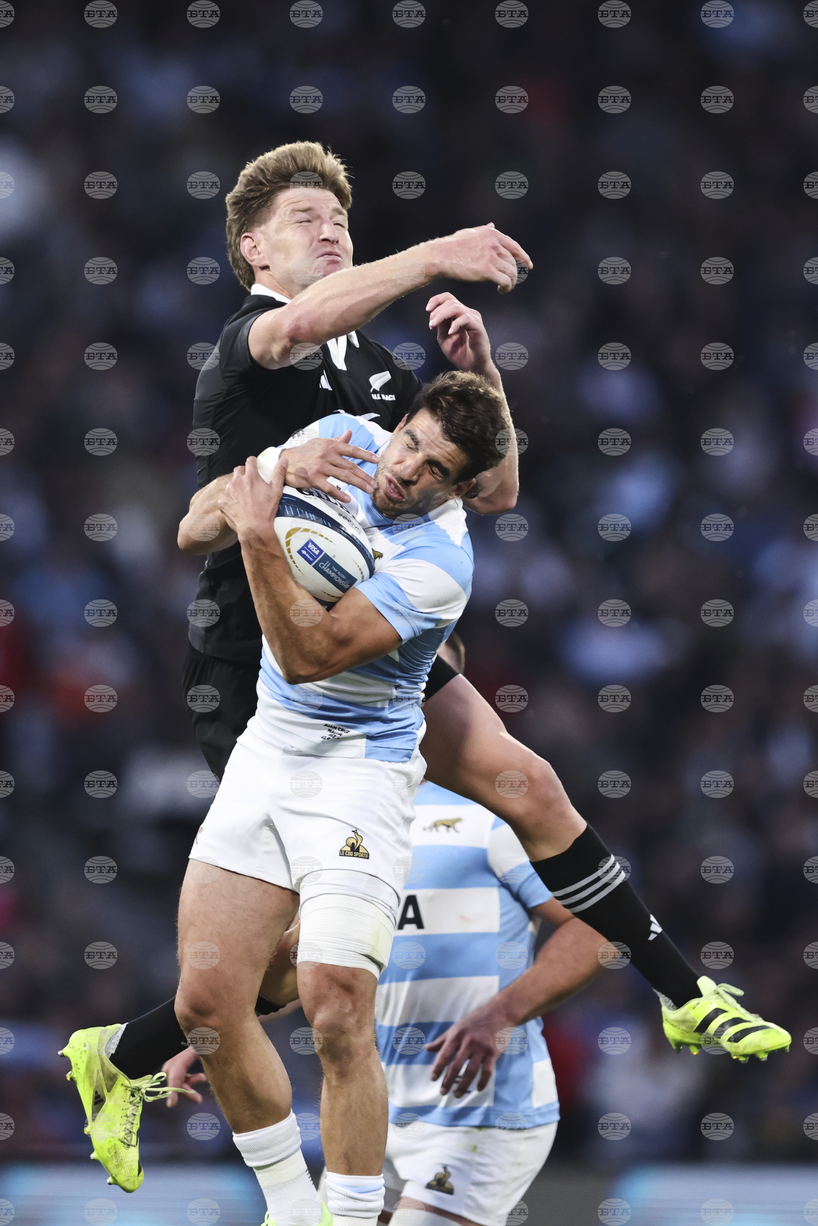 Argentina New Zealand Rugby Championship