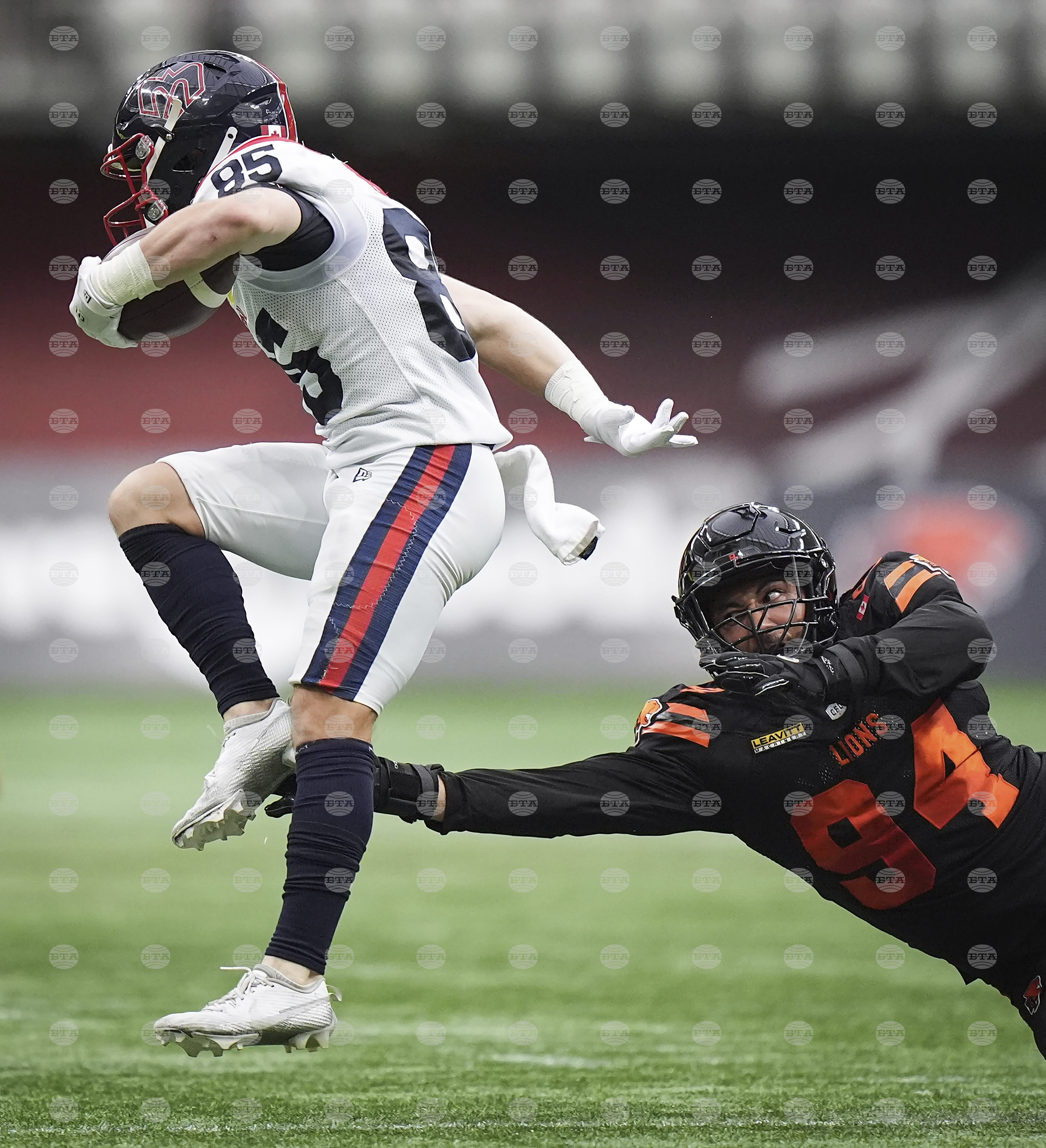 CFL Alouettes Lions Football