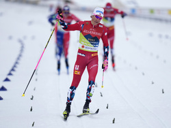 Slovenia Nordic World Championships