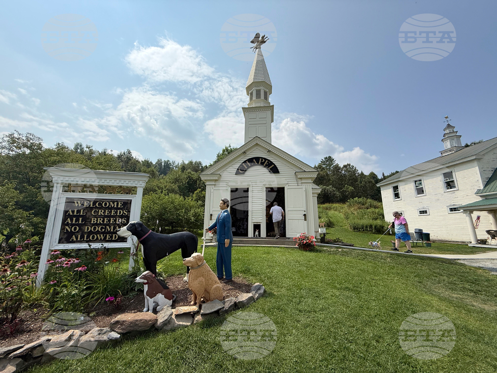 US Dog Mountain Vermont