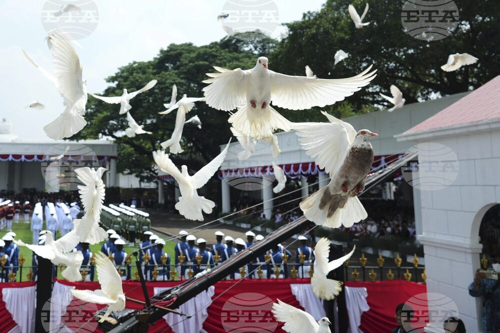 Indonesia Independence Day
