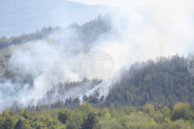 Пожарът между Велико Търново и Дебелец , в района на Присовските завои, е локализиран