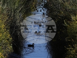 Climate Coastal Restoration