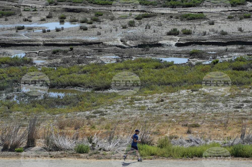 Climate Coastal Restoration