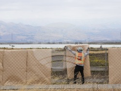 Climate Coastal Restoration
