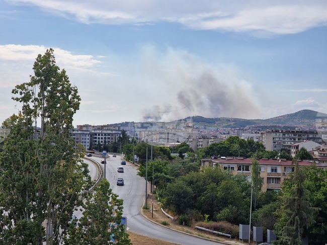 Пожар гори в местността Седми километър край Стара Загора