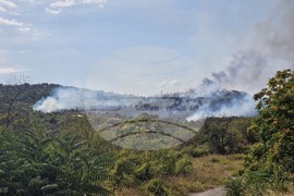 Стара Загора - Седми километър - пожар