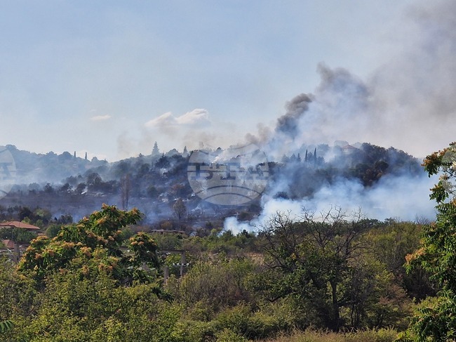 Комисия ще обследва щетите от пожара в местността Седми климетър край Стара Загора