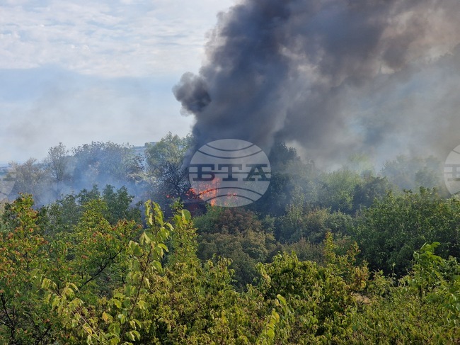 В Косово са регистрирани по около 90 пожара на ден в последната седмица