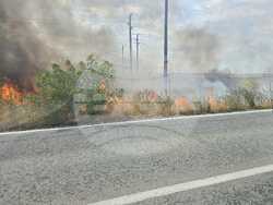 Снимка: ПП "Национално движение Непокорна България"