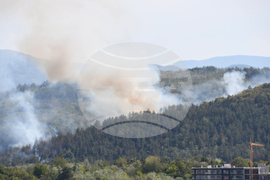 Дебелец - пожар