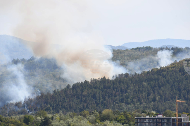 Горски пожар избухна близо до град Мугла в Югозападна Турция 