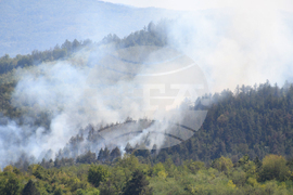 Дебелец - пожар