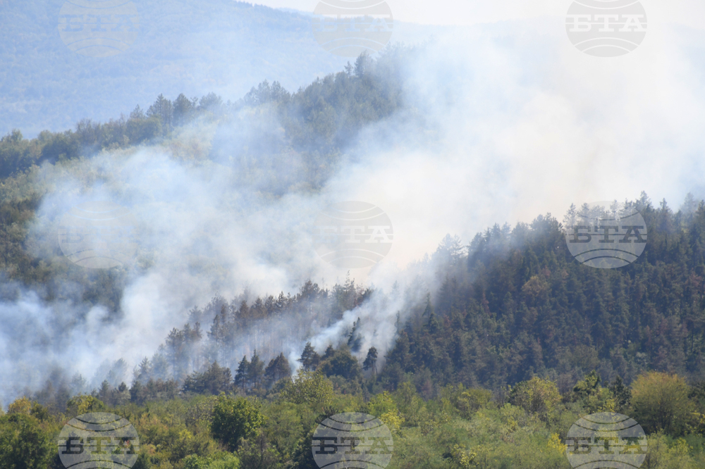 Дебелец - пожар