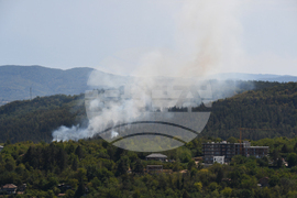 Дебелец - пожар