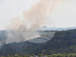 Дебелец - пожар
