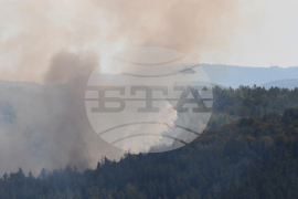 Дебелец - пожар